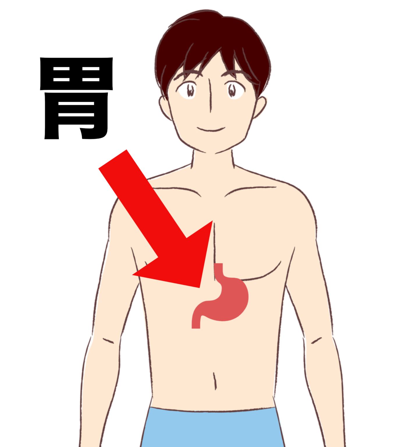 胃もたれってなに？ 胃腸の専門グリーンノア鍼灸院